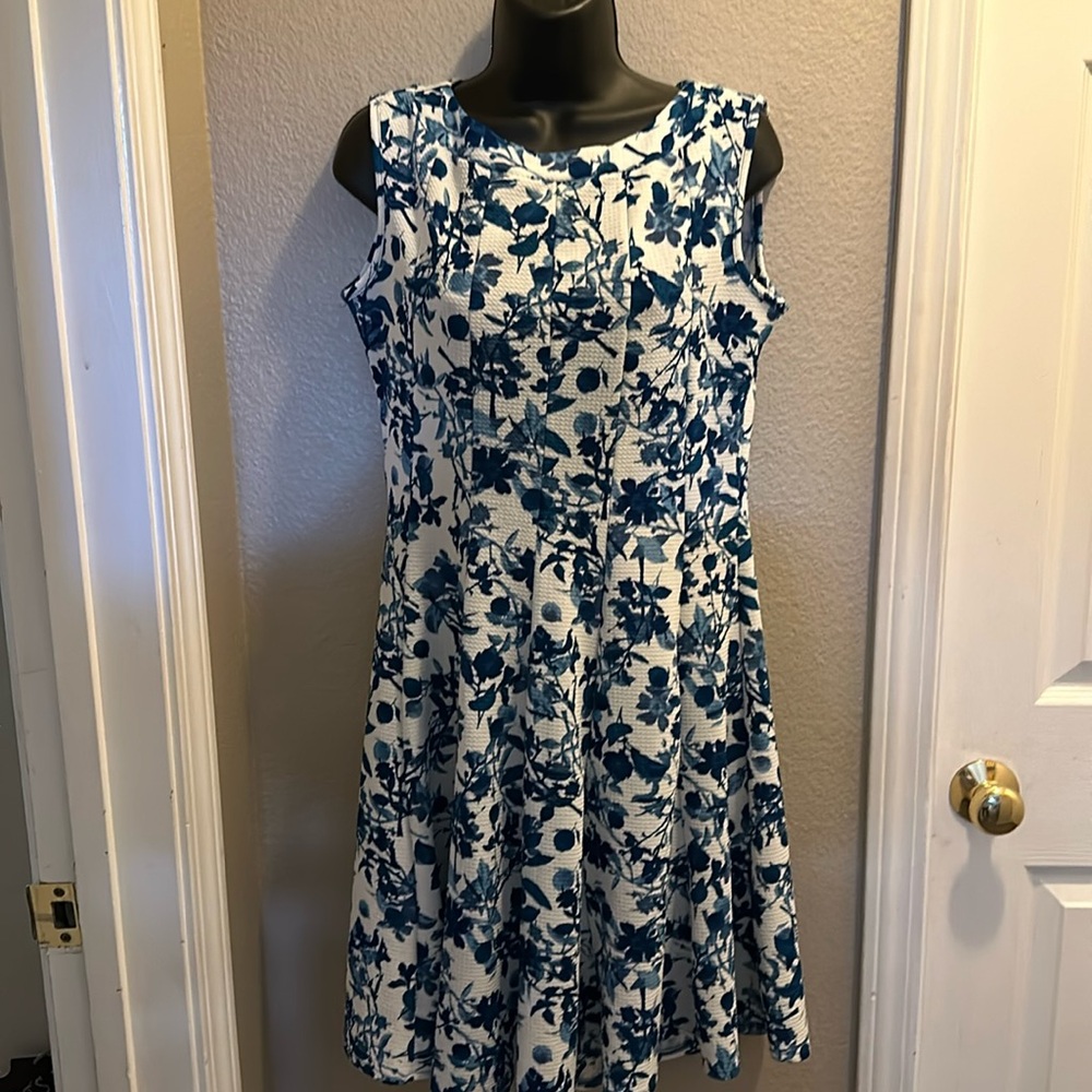 Hanni Sleeveless Ladies Dress